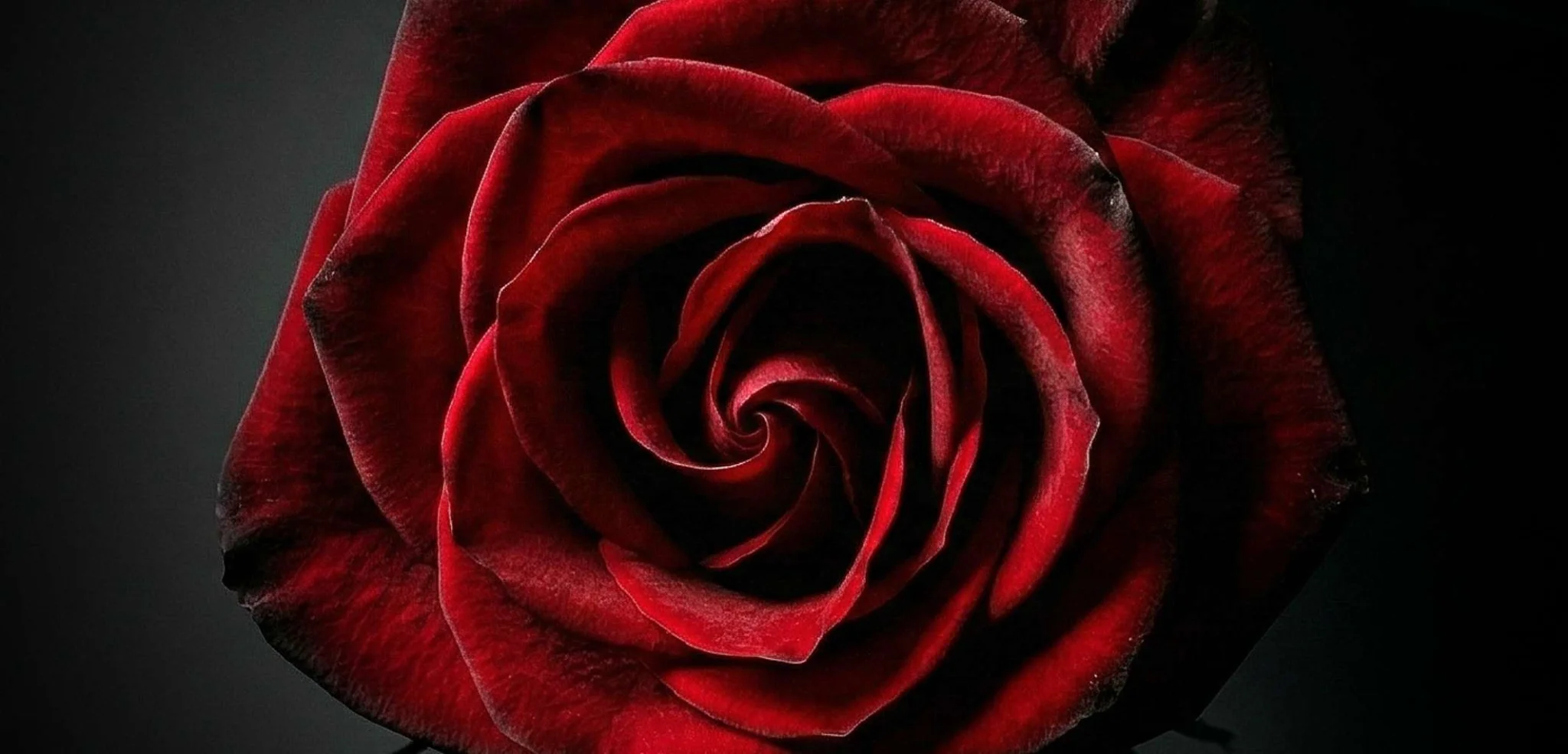 53e3dce828e5297aa2e60996ad778a4c