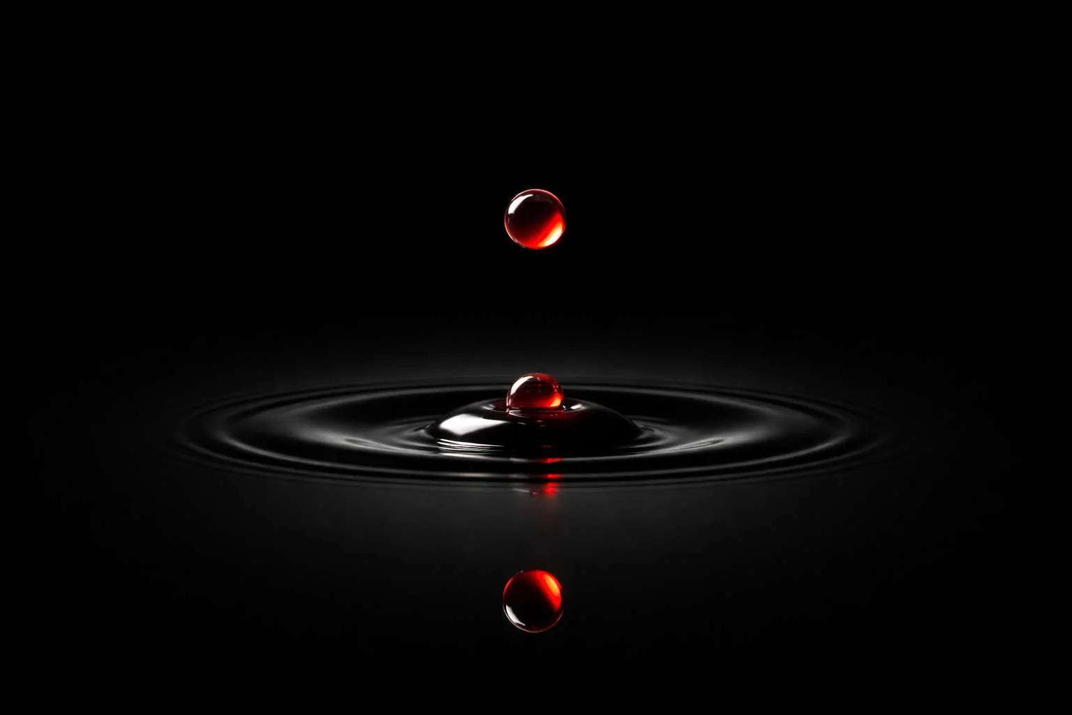 Dd6524db32e5a1d9fa92dce5a335a666