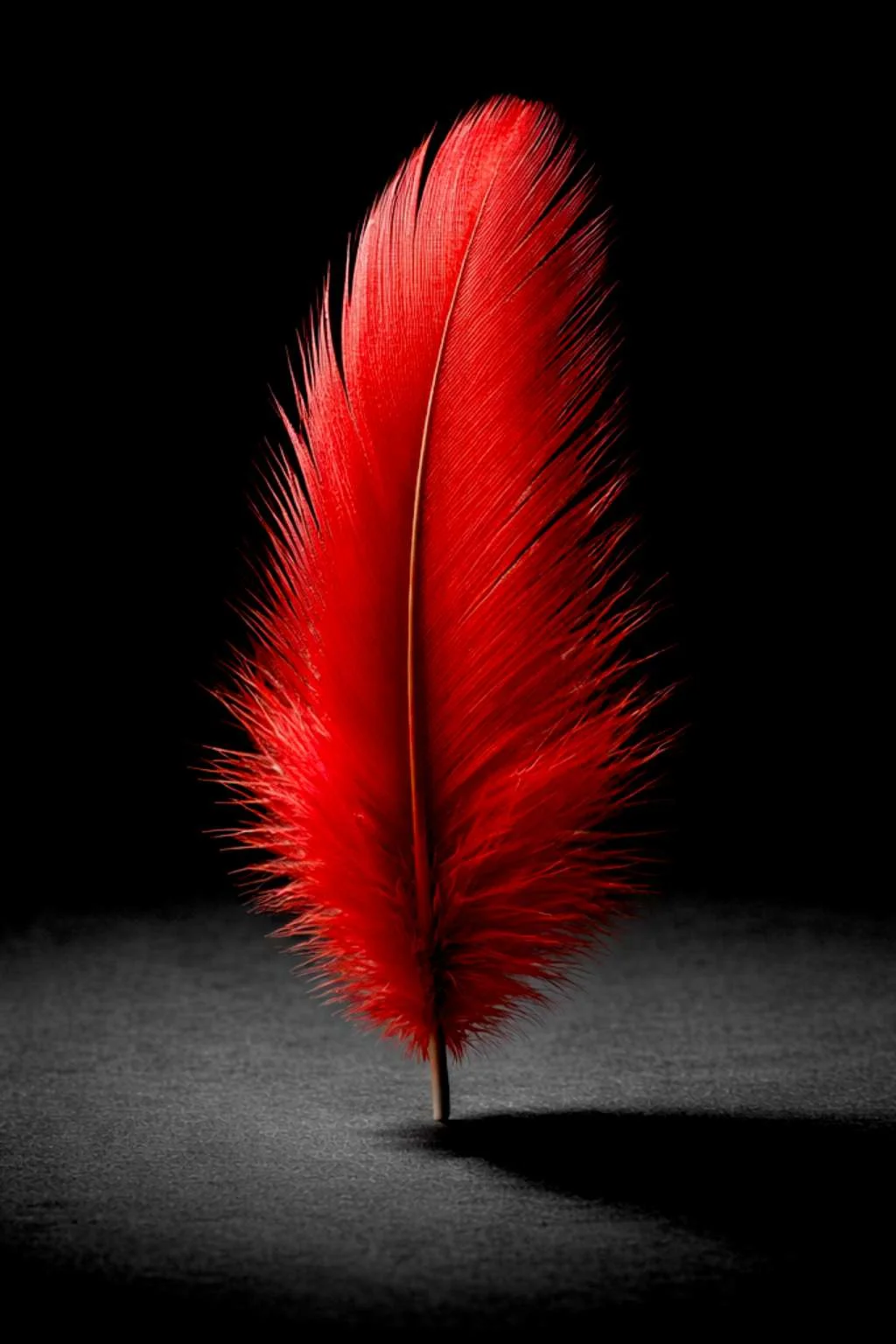 F7fe4ed11a9bc27c9fea75ee41748848